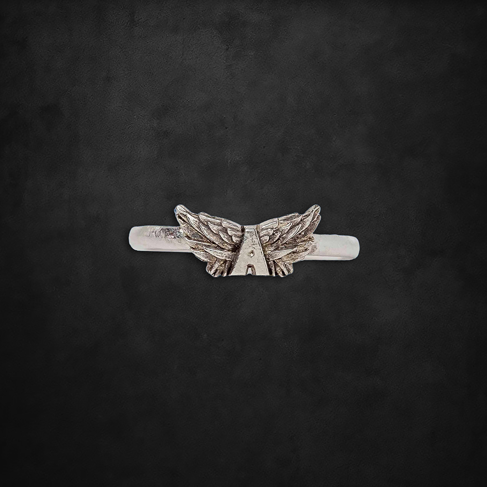 aerosmith-x-distefano-flying-a-ring-silber-12-mm-fl-gel image 1