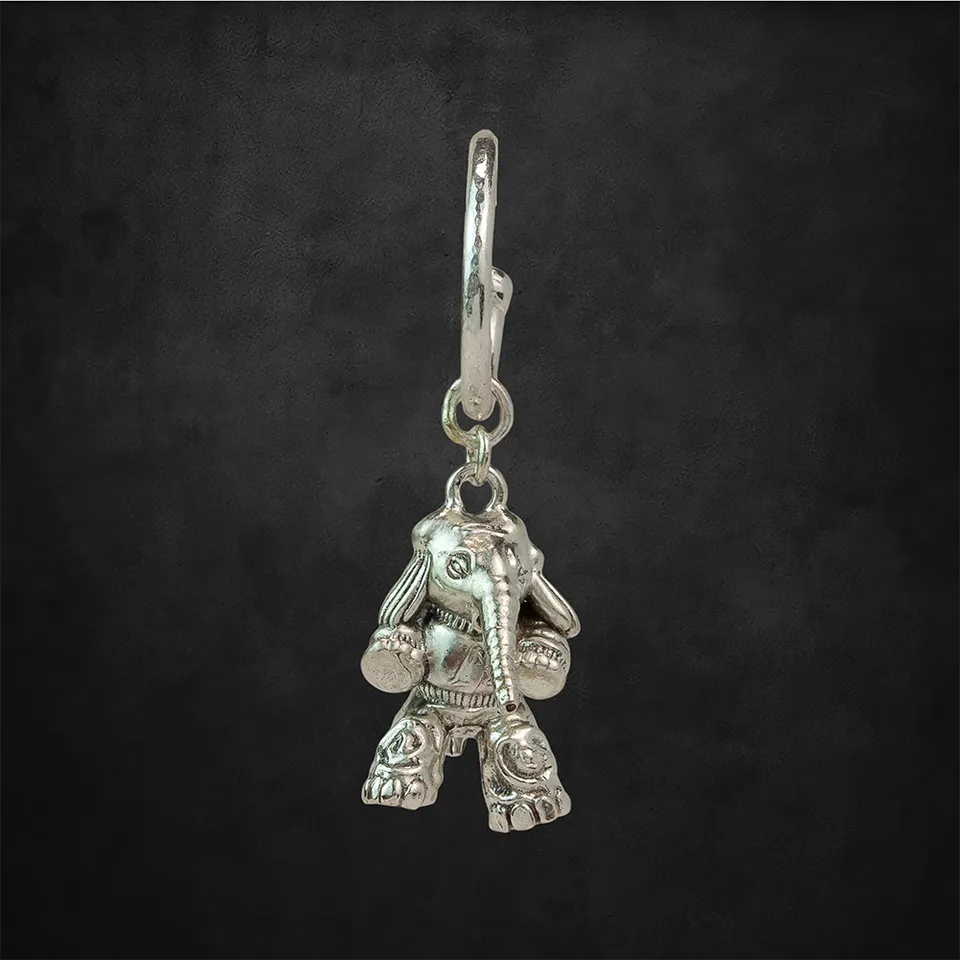 aerosmith-x-distefano-mr-trunk-creole-einzeln-patina-silber image 1