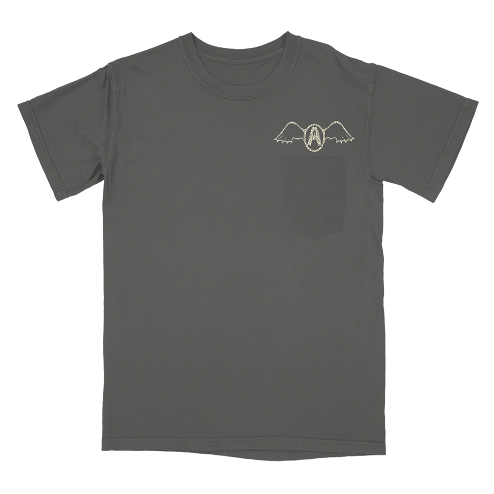 aerosmith-seasons-of-wither-pocket-t-shirt-grau-baumwolle image 1