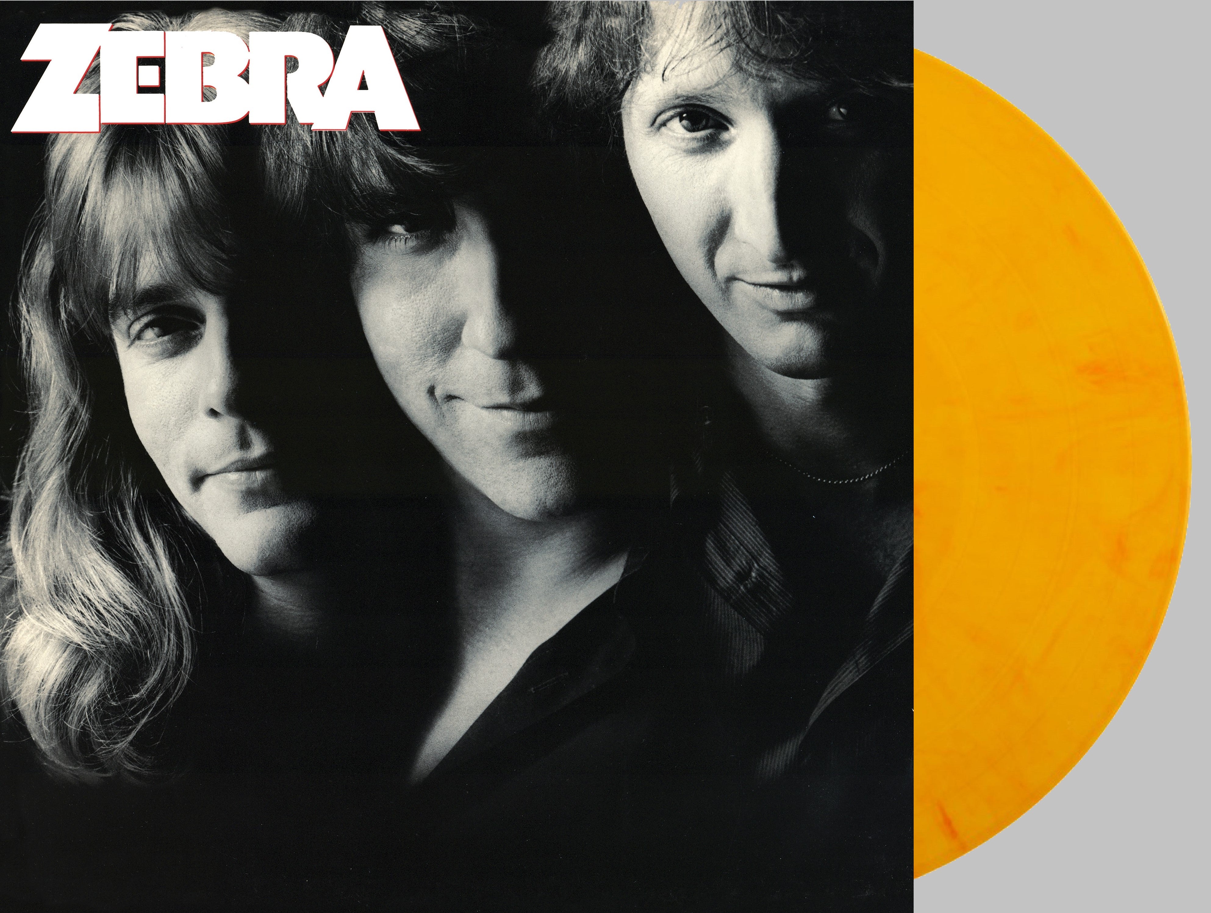 friday-music-hard-rock-zebra-zebra-vinyl-gold-marble-lp image 1
