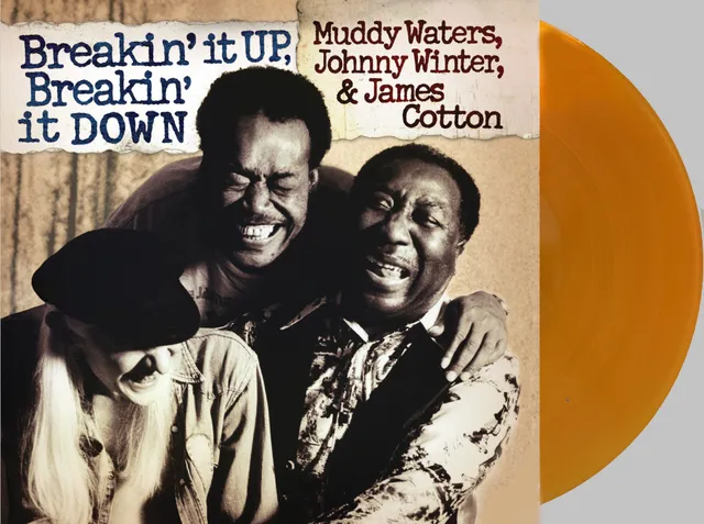 friday-music-r-b-muddy-waters-breakin-it-down-vinyl-gold-2lp-gatefold image 1