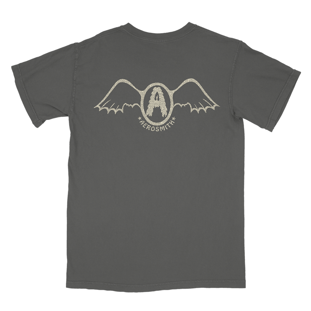 aerosmith-seasons-of-wither-pocket-t-shirt-grau-baumwolle image 2