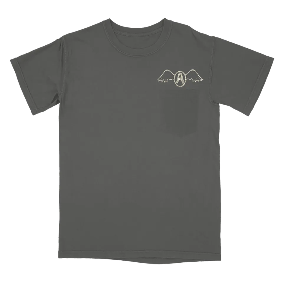 aerosmith-seasons-of-wither-pocket-t-shirt-grau-baumwolle image 1