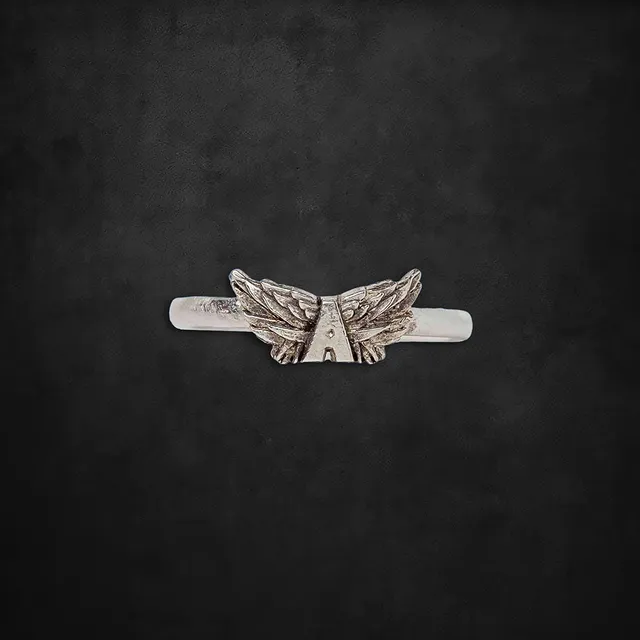 aerosmith-x-distefano-flying-a-ring-silber-12-mm-fl-gel image 1