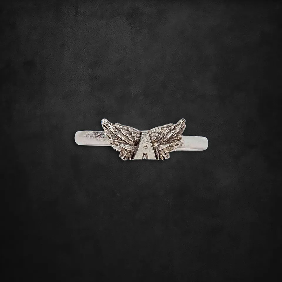 aerosmith-x-distefano-flying-a-ring-silber-12-mm-fl-gel image 1