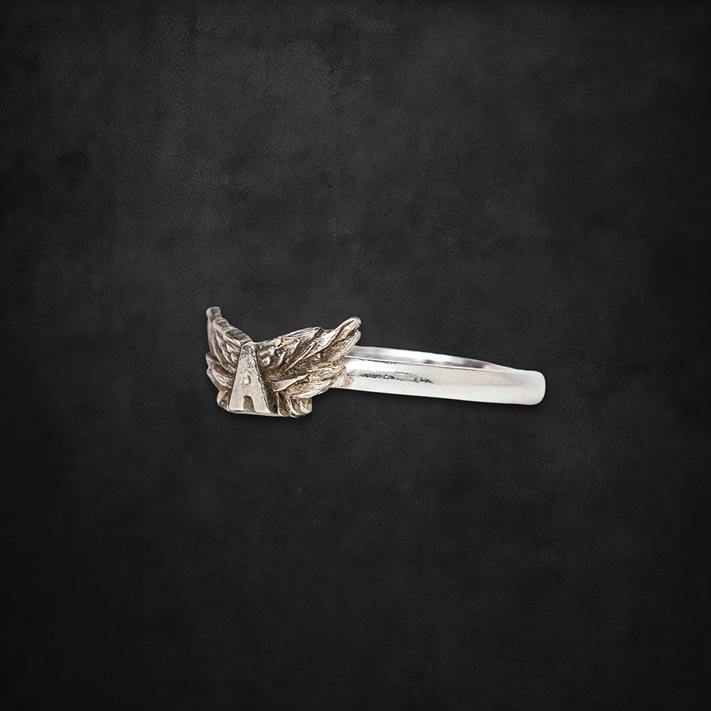 aerosmith-x-distefano-flying-a-ring-silber-12-mm-fl-gel image 3
